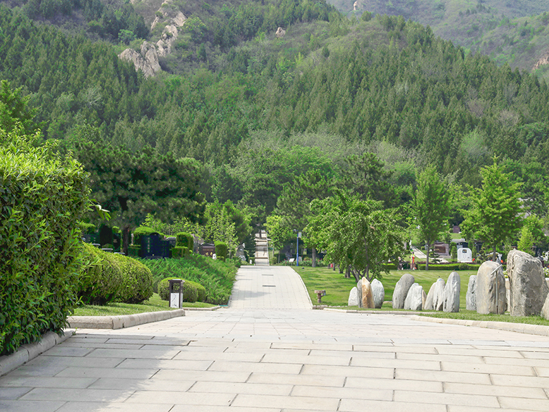 北京树葬陵园都有哪些特点？树葬有什么优势？
